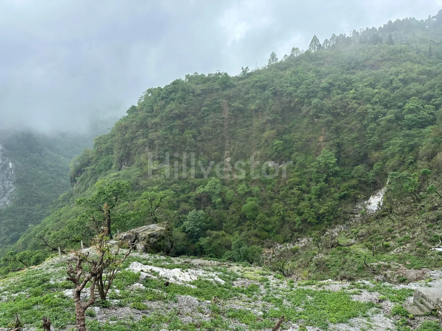 900 sq. yd. Residential Land near Bhatta Falls, Bhatta, Mussoorie