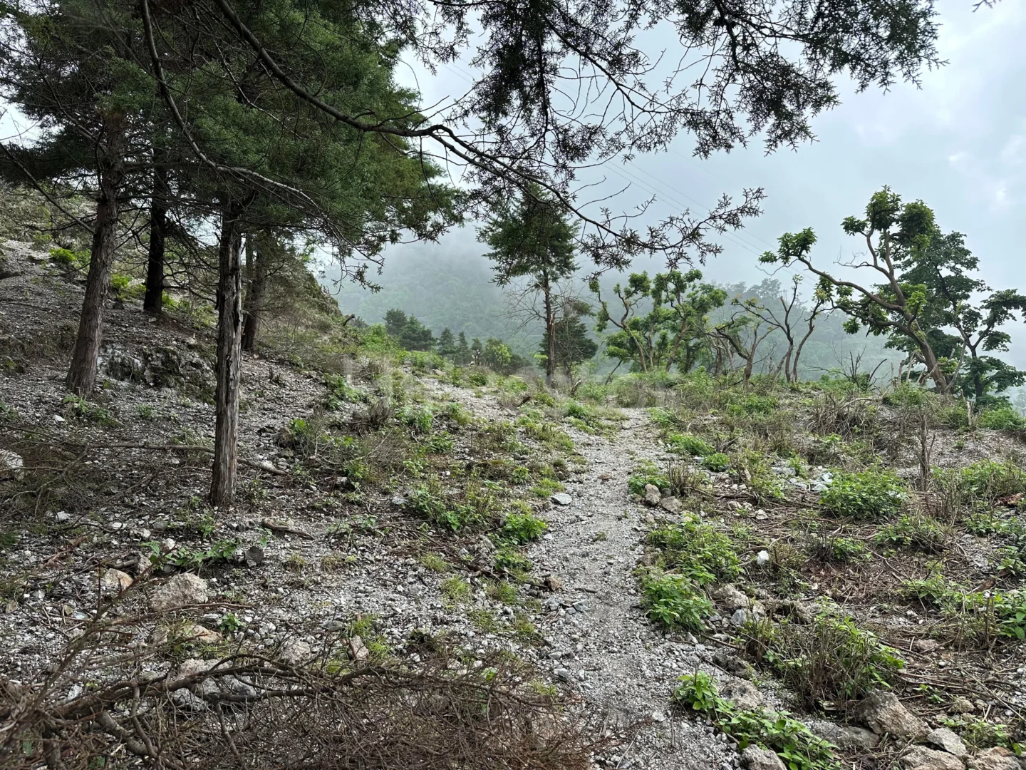 900 sq. yd. Residential Land near Bhatta Falls, Bhatta, Mussoorie