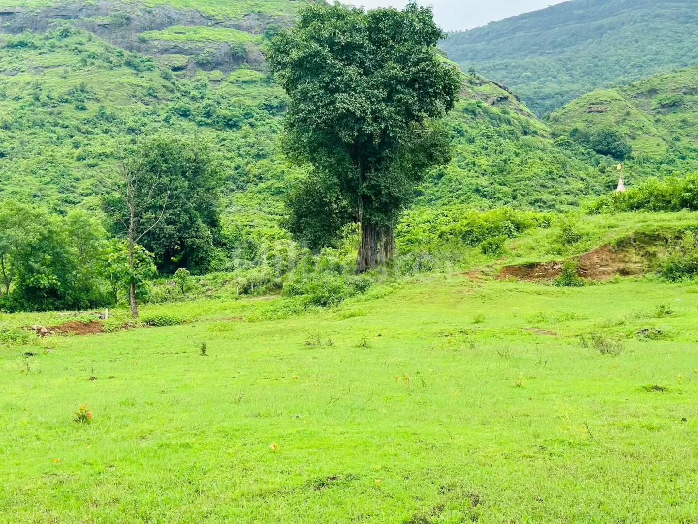 1,056 sq. yd. Residential Land near Gaurkamat, Karjat