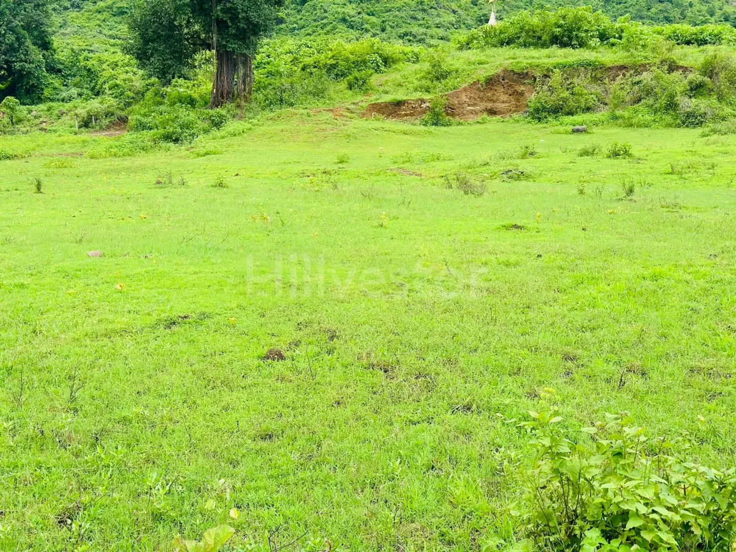 1,056 sq. yd. Residential Land near Gaurkamat, Karjat