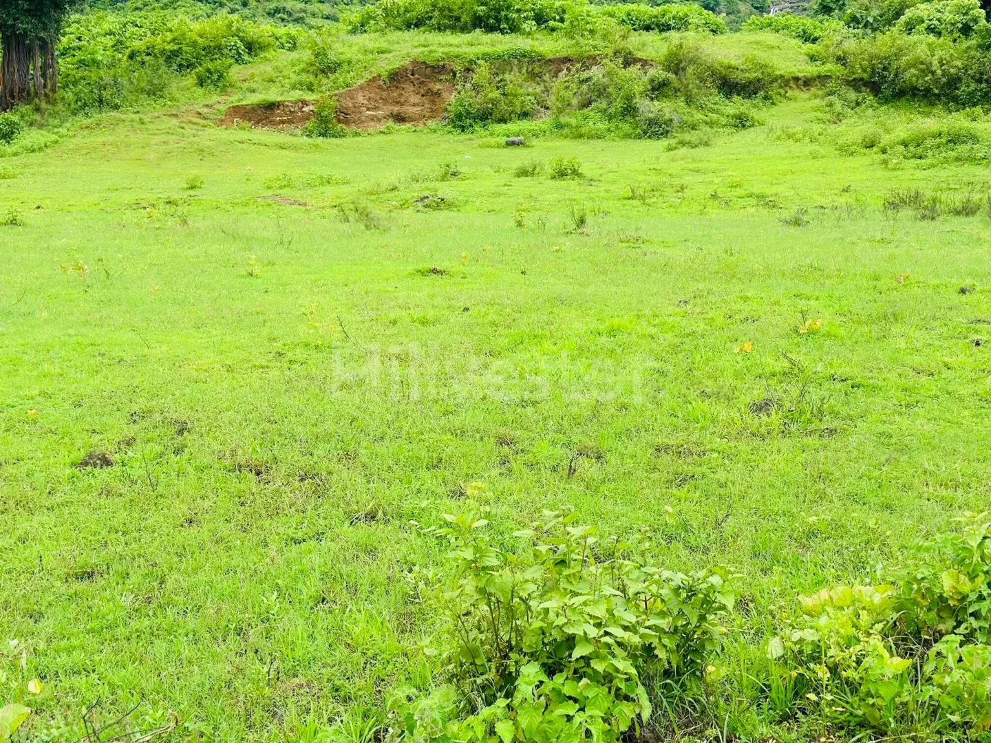 1,056 sq. yd. Residential Land near Gaurkamat, Karjat