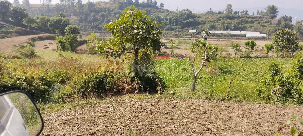 240 sq. yd. Residential Plot near Hanuman Mandir, Naukuchiatal