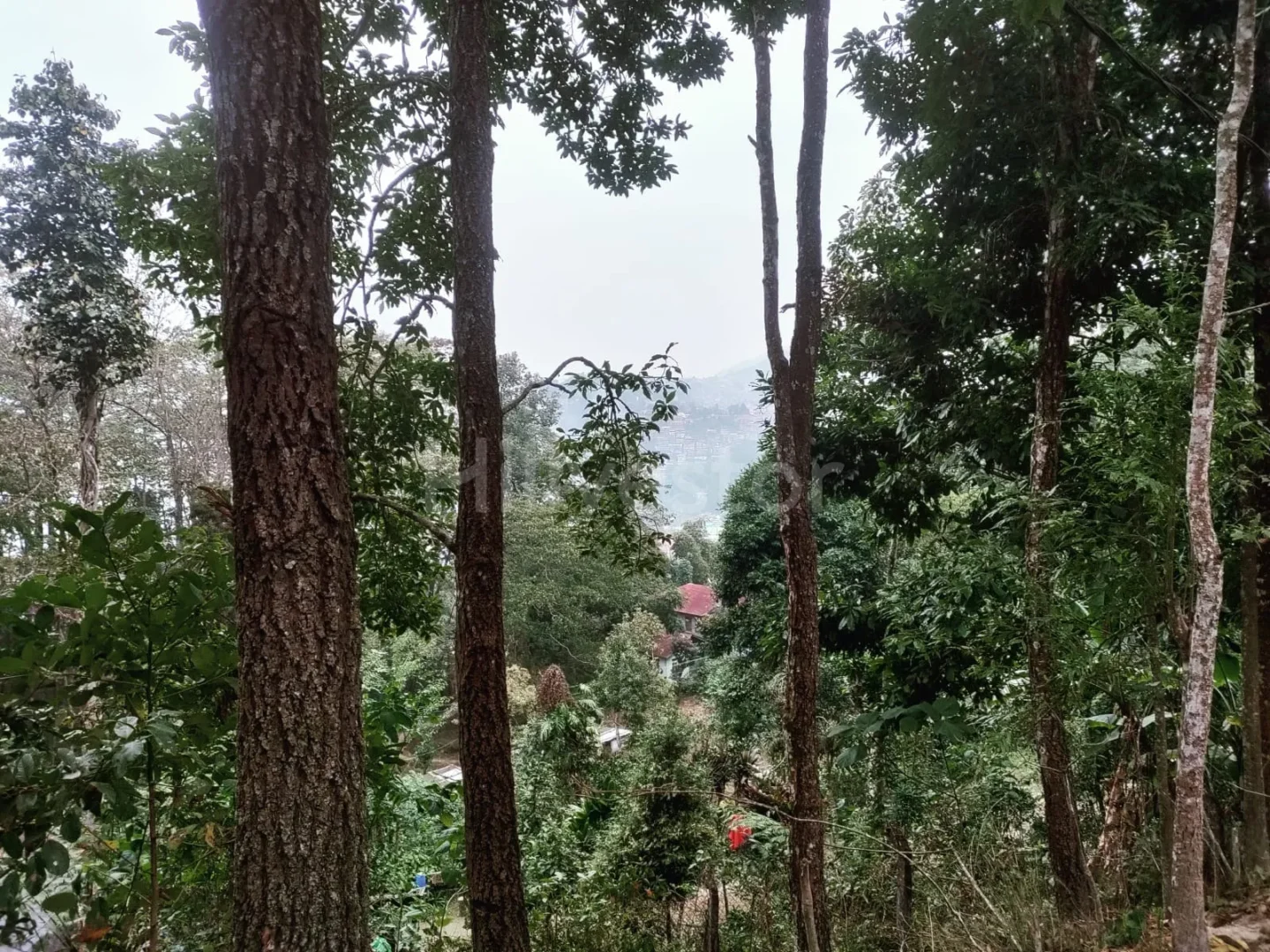 3,468 sq. yd. Residential Land in Kalimpong Khasmahal, Kalimpong