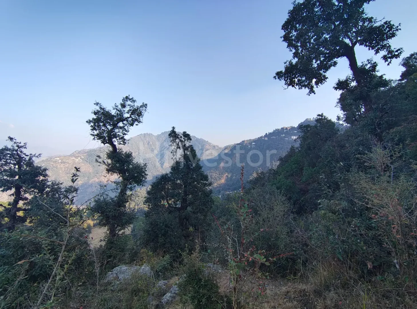 356 sq. yd. Residential Plot near Landour, Mussoorie
