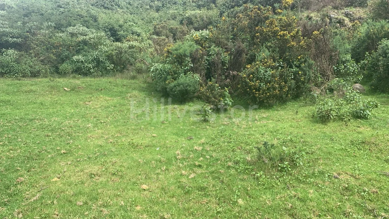 387 sq. yd. Residential Plot near Thalayathimund, Ooty