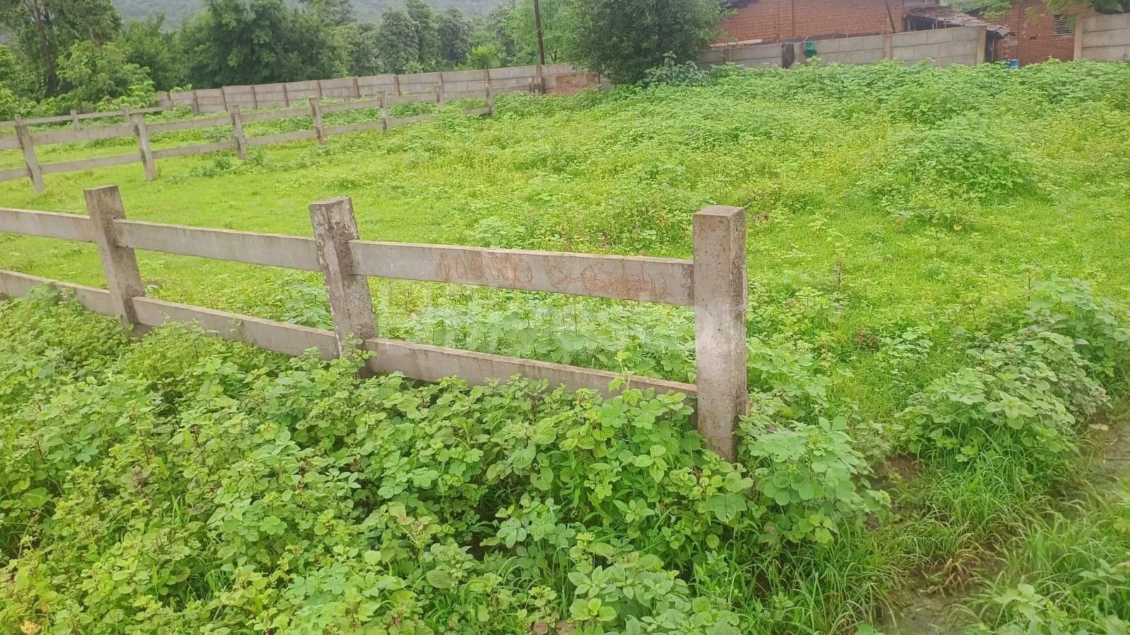 445 sq. yd. Residential Plot in Pimpalpada, Karjat