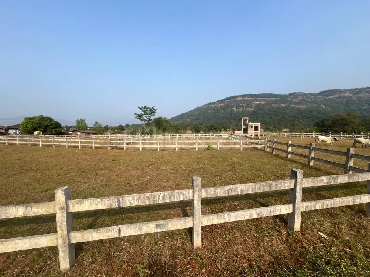 445 sq. yd. Residential Plot in Pimpalpada, Karjat