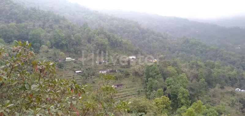 4,598 sq. yd. Residential Land near near Sittong, Kurseong
