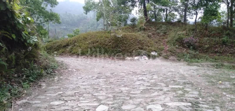 4,598 sq. yd. Residential Land near near Sittong, Kurseong