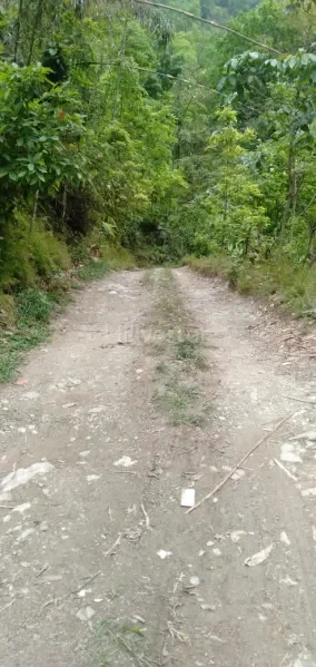 4,598 sq. yd. Residential Land near near Sittong, Kurseong