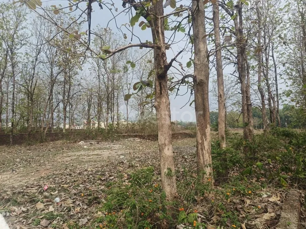 6,300 sq. yd. Residential Land near Pondha Road, Pondha, Dehradun