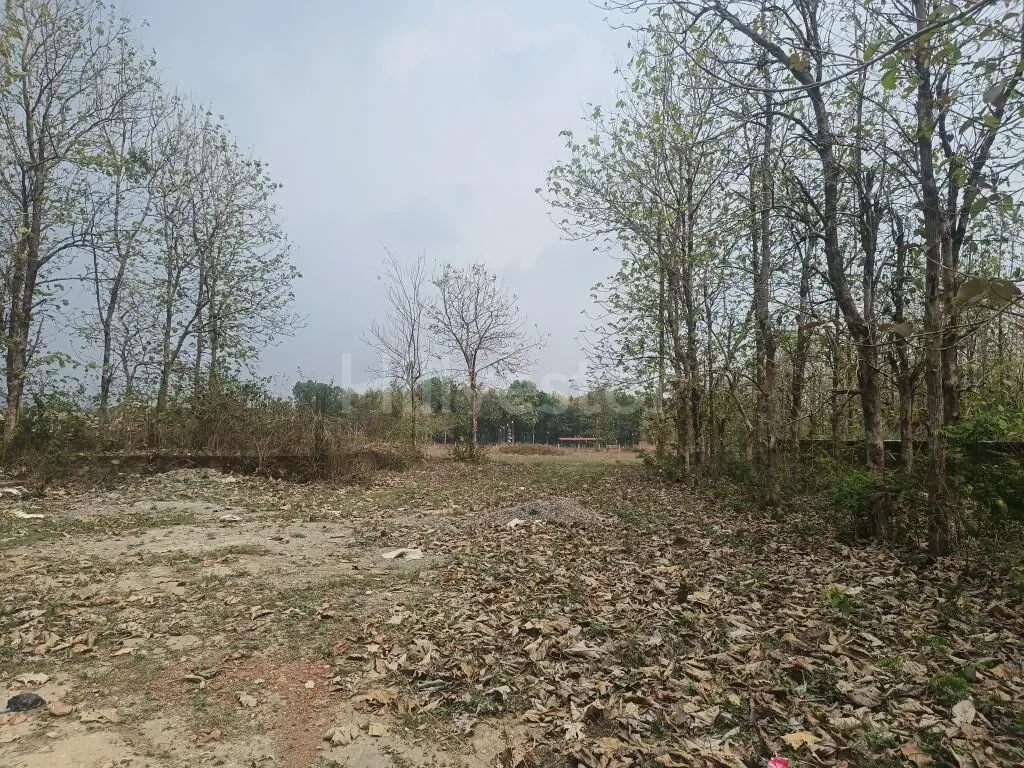 6,300 sq. yd. Residential Land near Pondha Road, Pondha, Dehradun