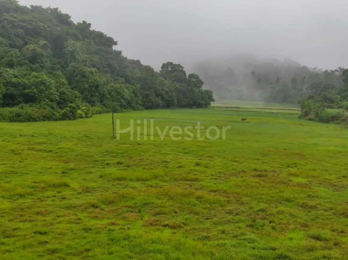 6,486 sq. yd. Residential Land near Taj Resort & Spa, Galibeedu, Madikeri
