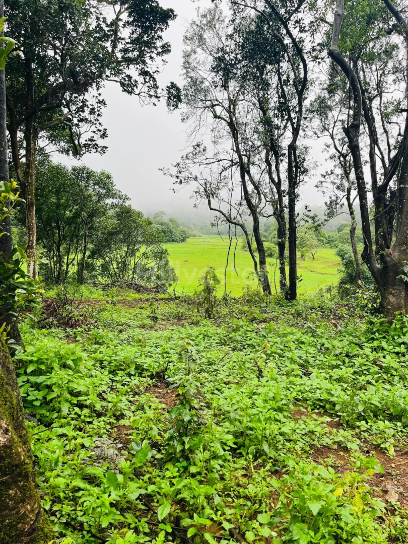 6,486 sq. yd. Residential Land near Taj Resort & Spa, Galibeedu, Madikeri