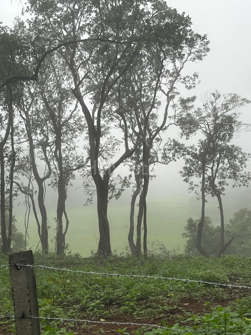 6,486 sq. yd. Residential Land near Taj Resort & Spa, Galibeedu, Madikeri
