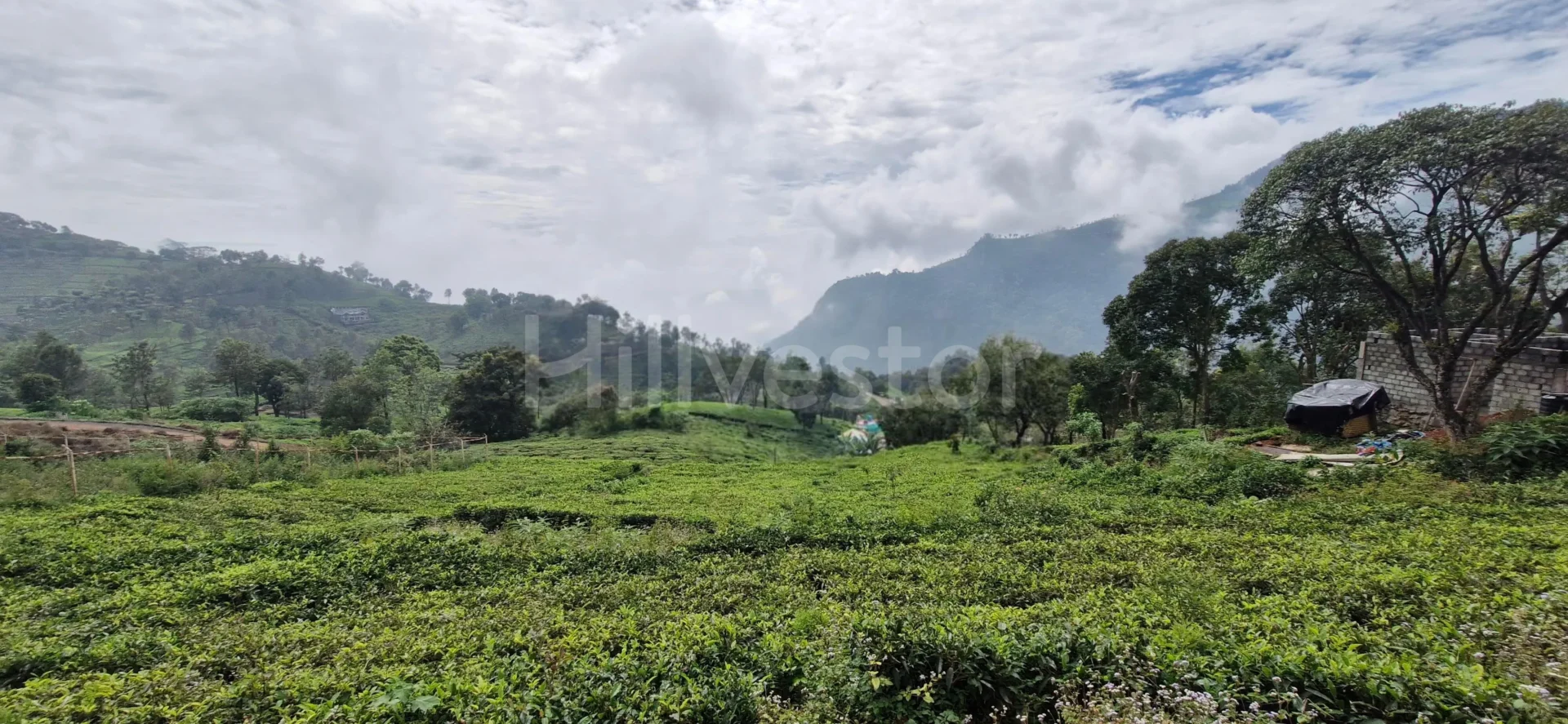 1,017 sq. yd. Residential Land near John Sullivan Memorial, Kotagiri