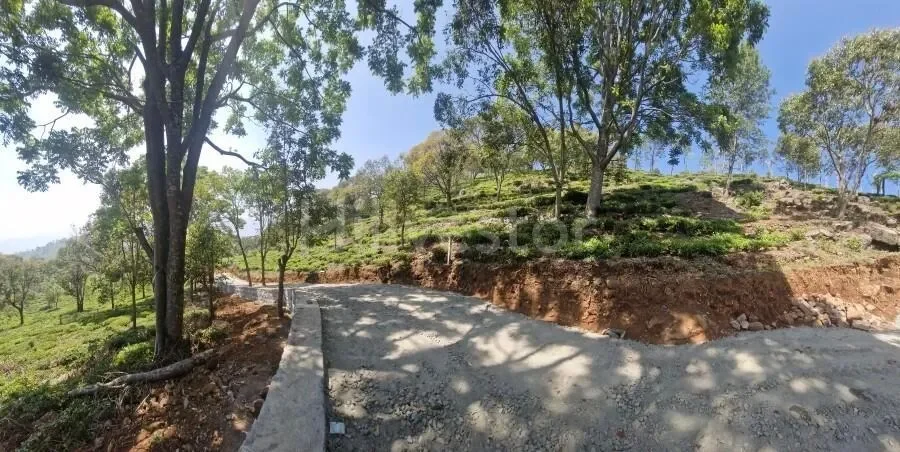 1,017 sq. yd. Residential Land near John Sullivan Memorial, Kotagiri