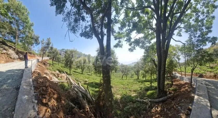 1,017 sq. yd. Residential Land near John Sullivan Memorial, Kotagiri