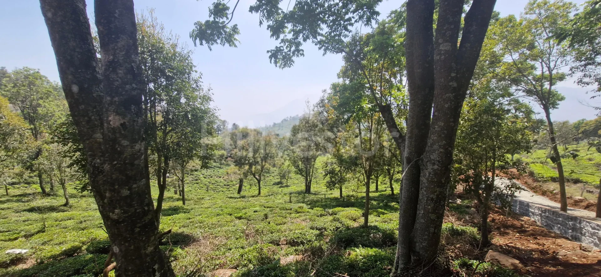 1,017 sq. yd. Residential Land near John Sullivan Memorial, Kotagiri
