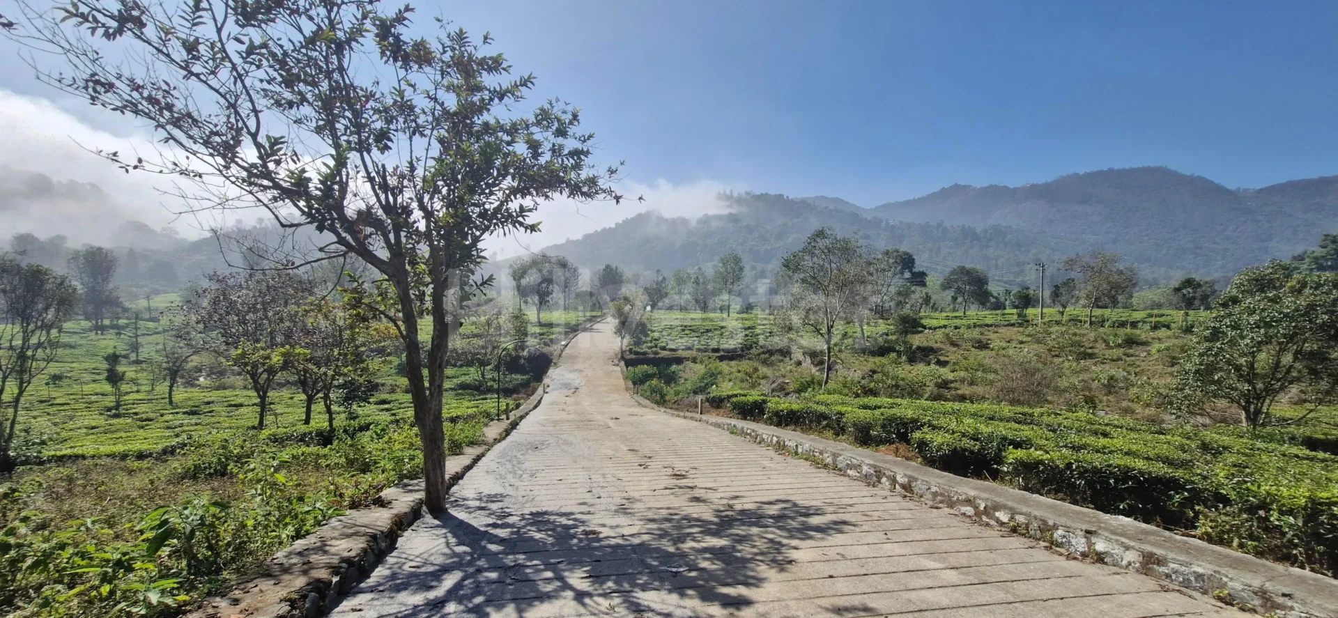 1,017 sq. yd. Residential Land near John Sullivan Memorial, Kotagiri