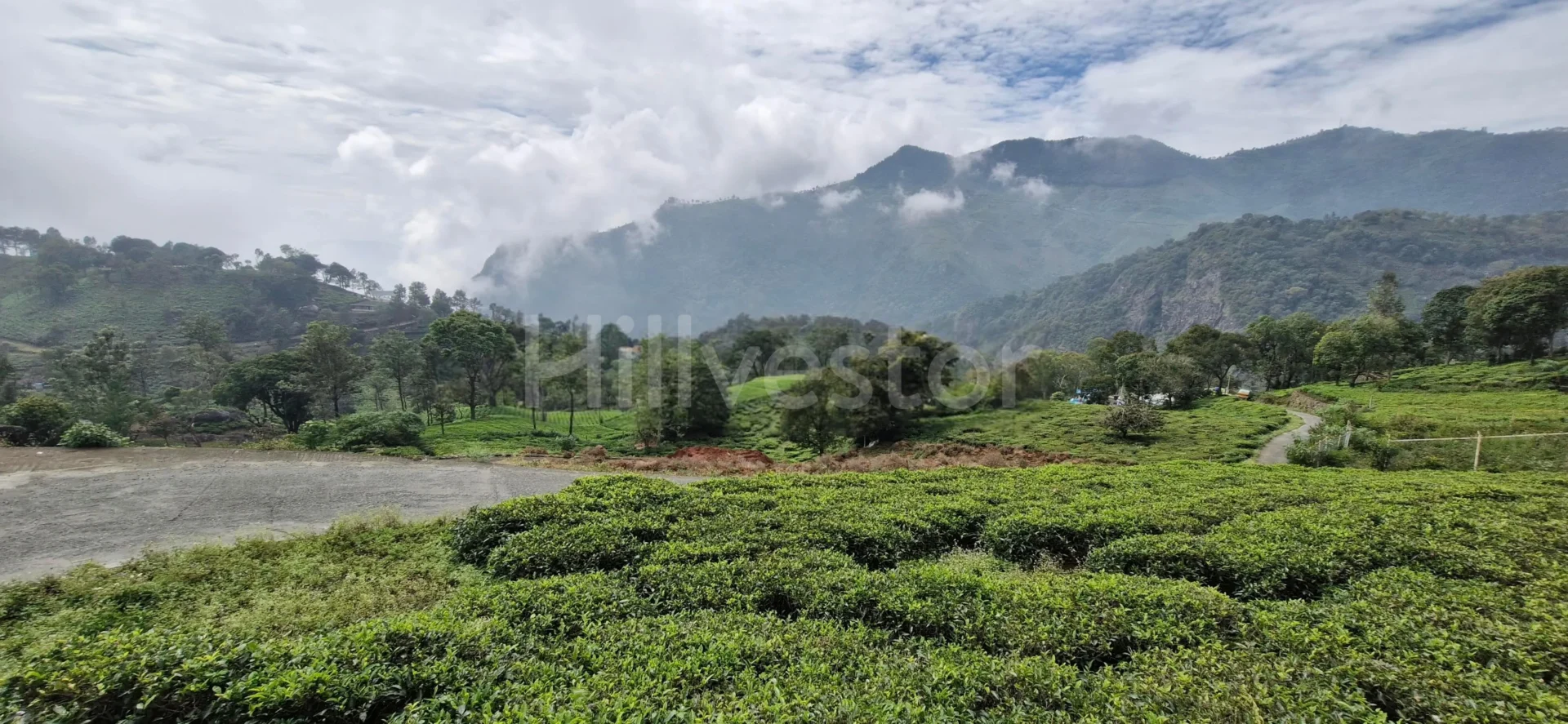 1,017 sq. yd. Residential Land near John Sullivan Memorial, Kotagiri