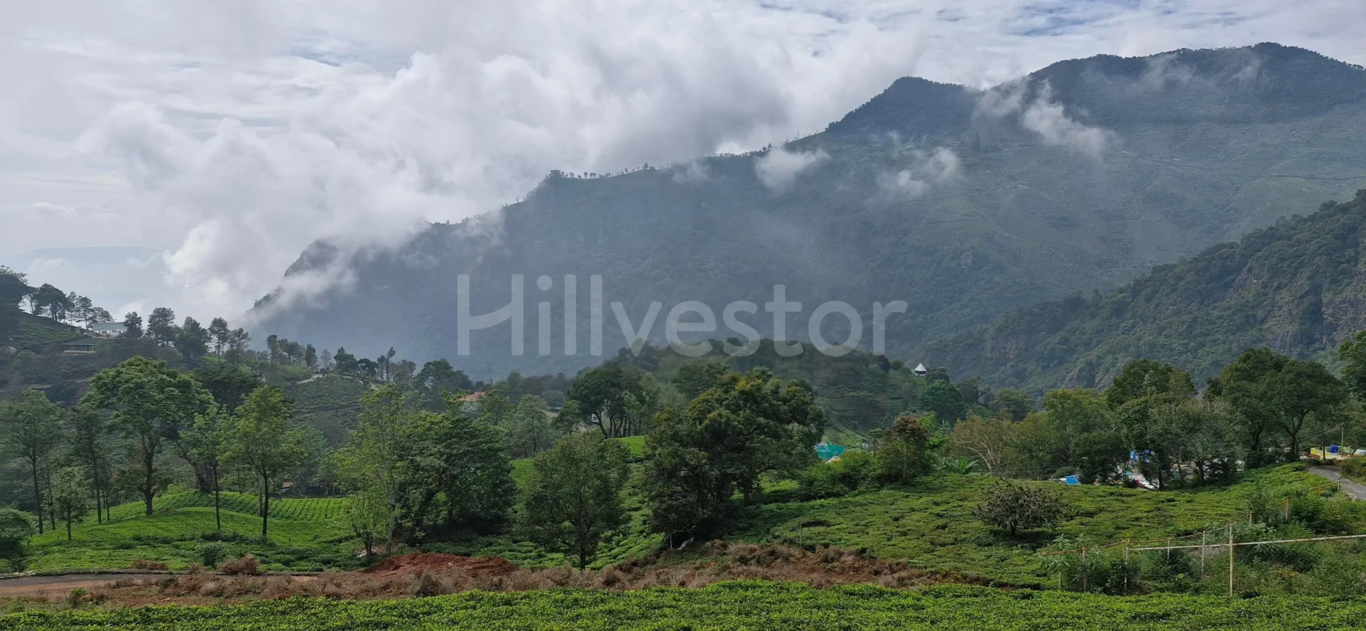 1,017 sq. yd. Residential Land near John Sullivan Memorial, Kotagiri