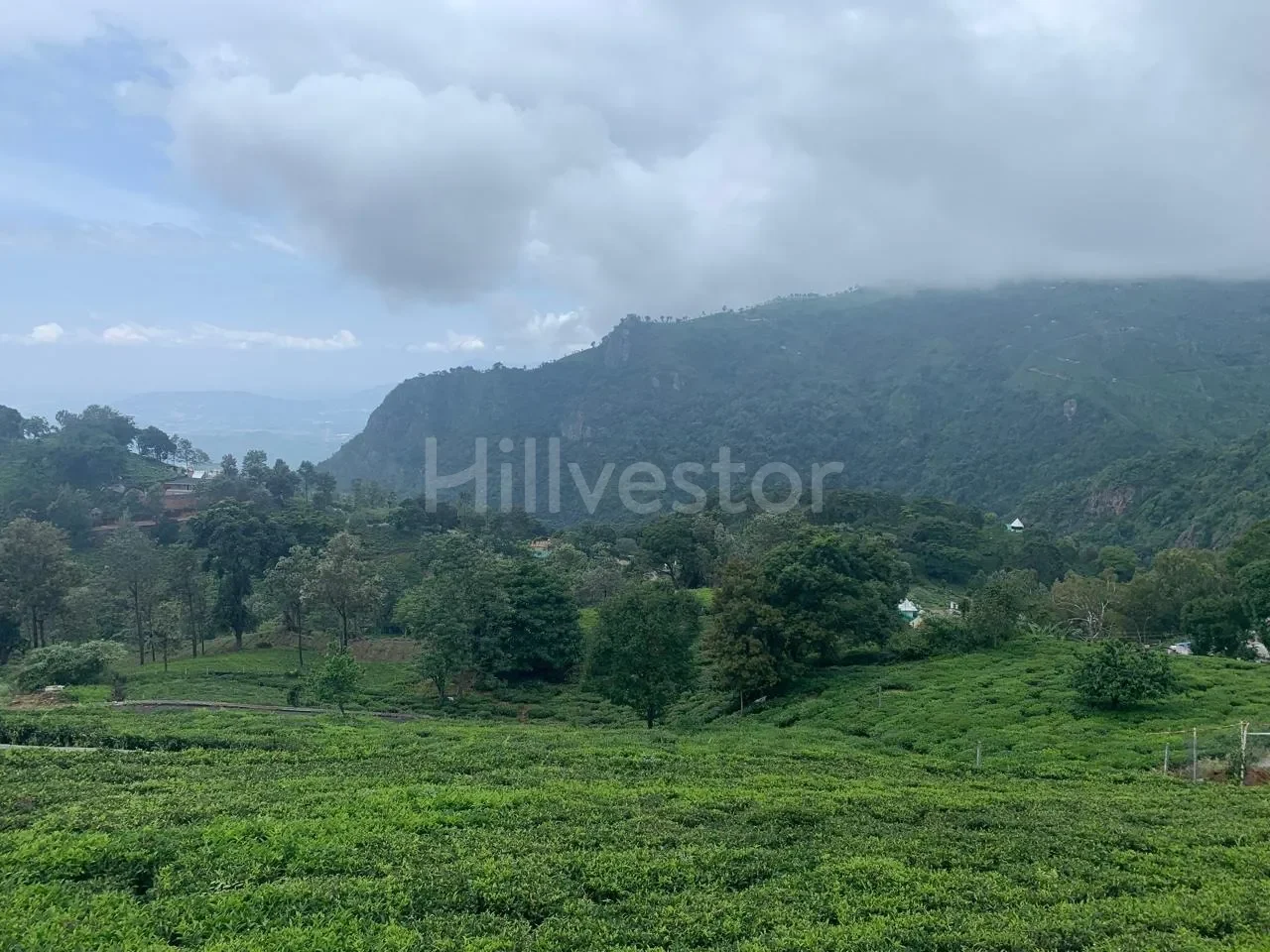 1,030 sq. yd. Residential Land near Aravenu, Kotagiri