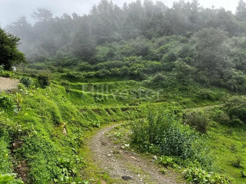 1,500 sq. yd. Residential Land near Dhanaulti Road, Dhanaulti
