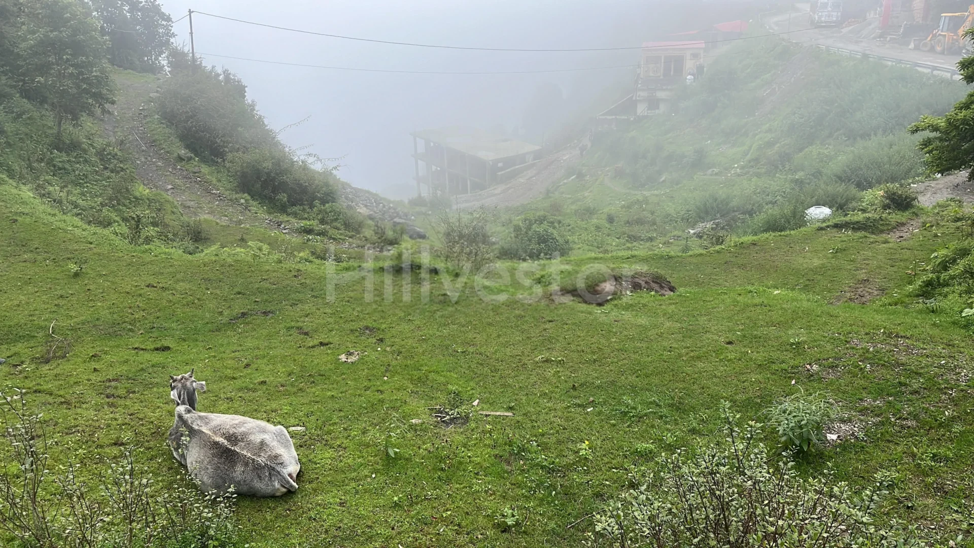 1,500 sq. yd. Residential Land near Dhanaulti Road, Dhanaulti