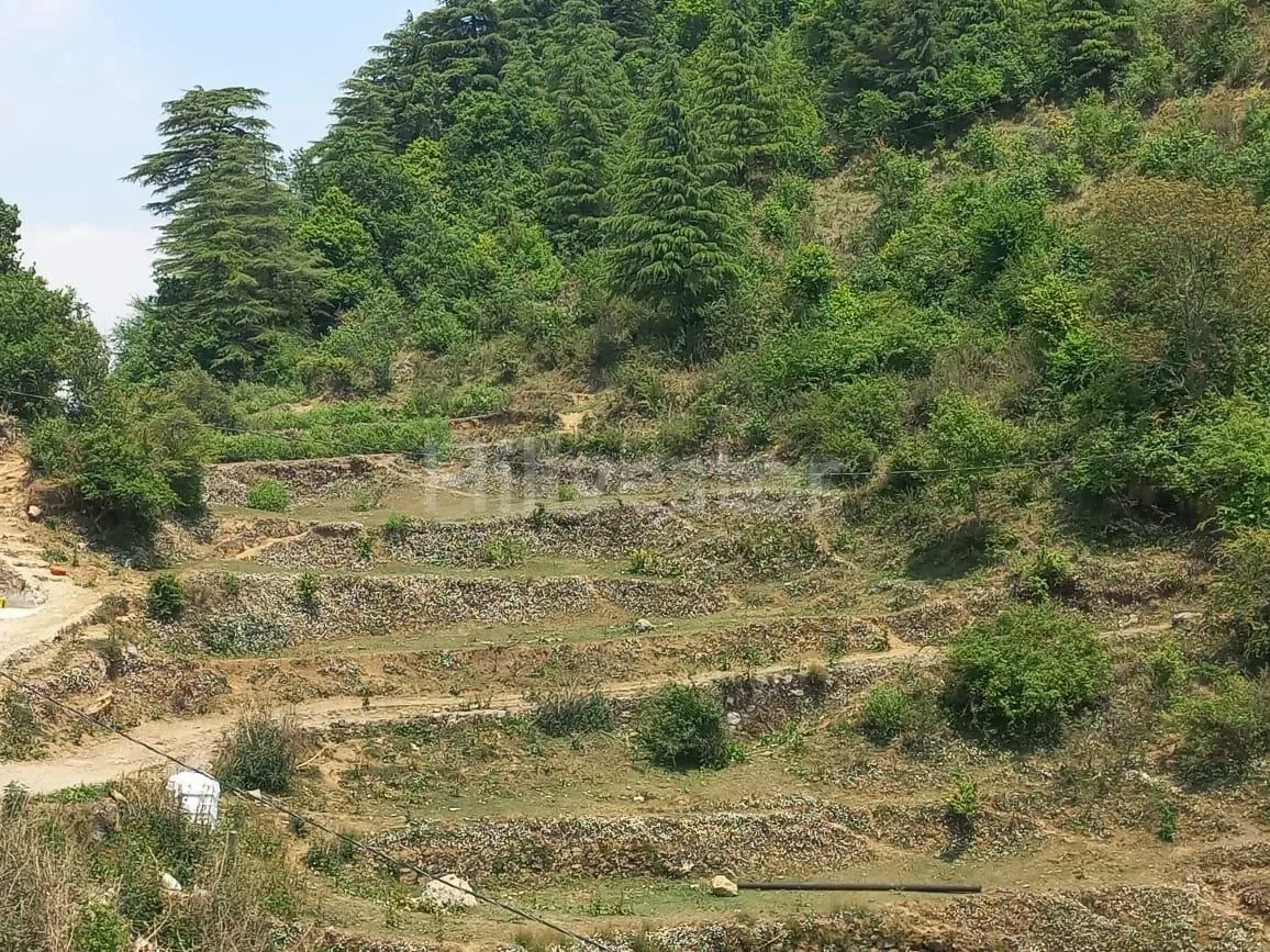 1,500 sq. yd. Residential Land near Dhanaulti Road, Dhanaulti