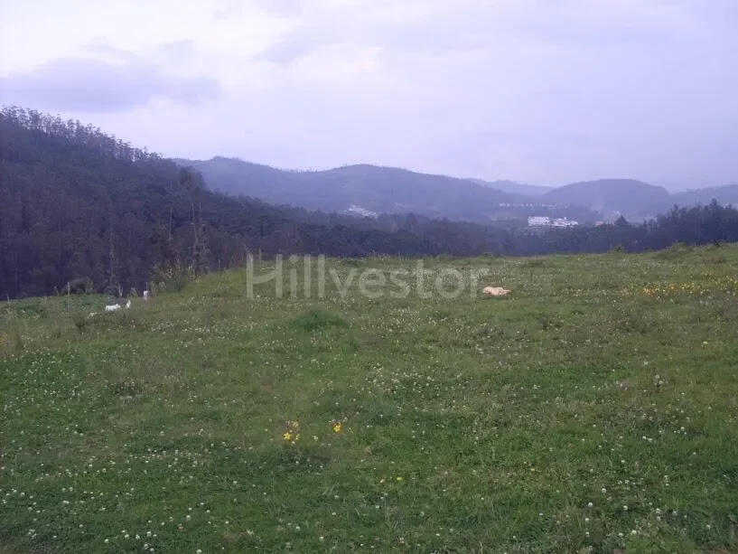 1,500 sq. yd. Residential Land near Theetukal, Ooty