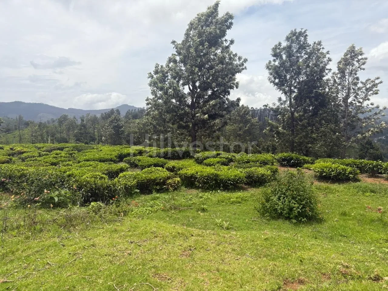 25,943 sq. yd. Residential Land near Hubbathala, Coonoor