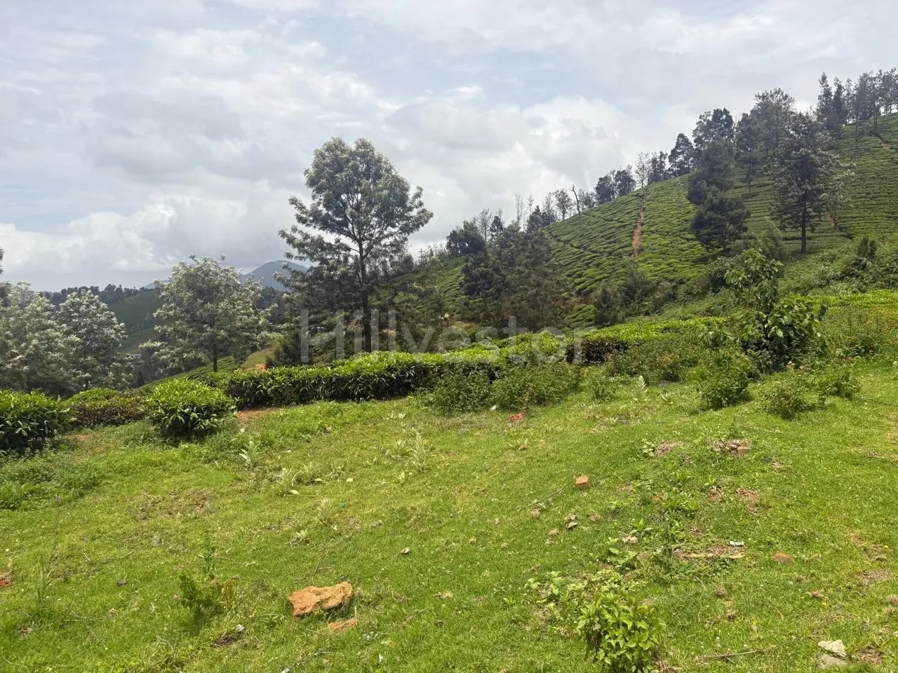 25,943 sq. yd. Residential Land near Hubbathala, Coonoor