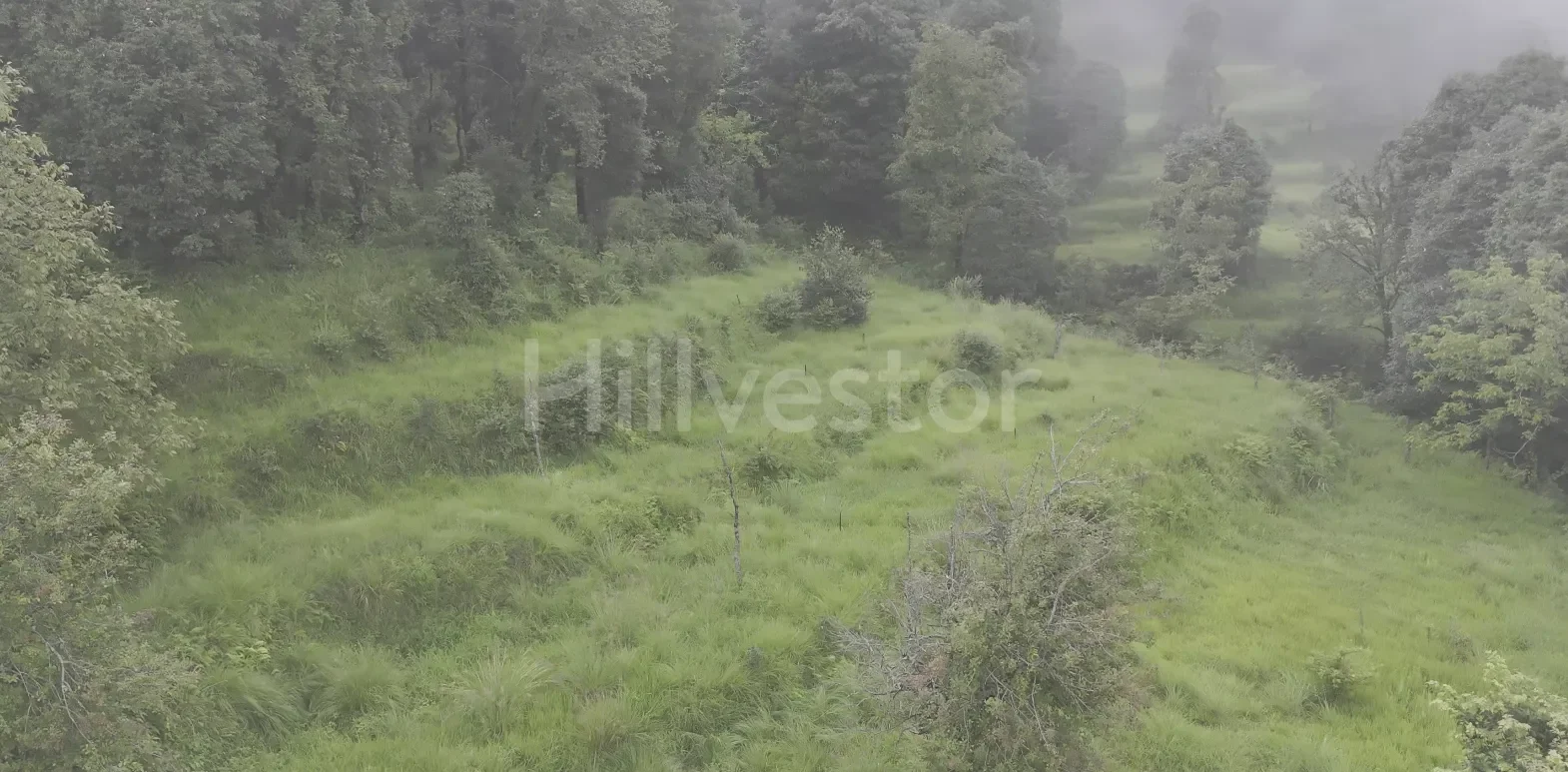 240 sq. yd. Residential Land near Mahavatar Babaji’s Cave, Kukuchina, Dunagiri