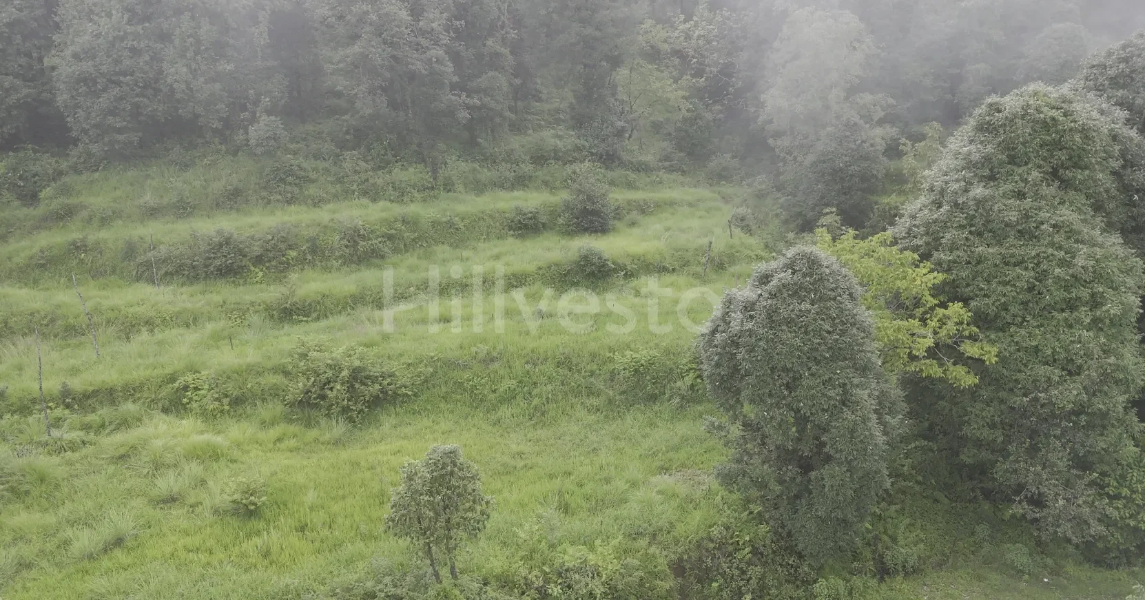 240 sq. yd. Residential Land near Mahavatar Babaji’s Cave, Kukuchina, Dunagiri