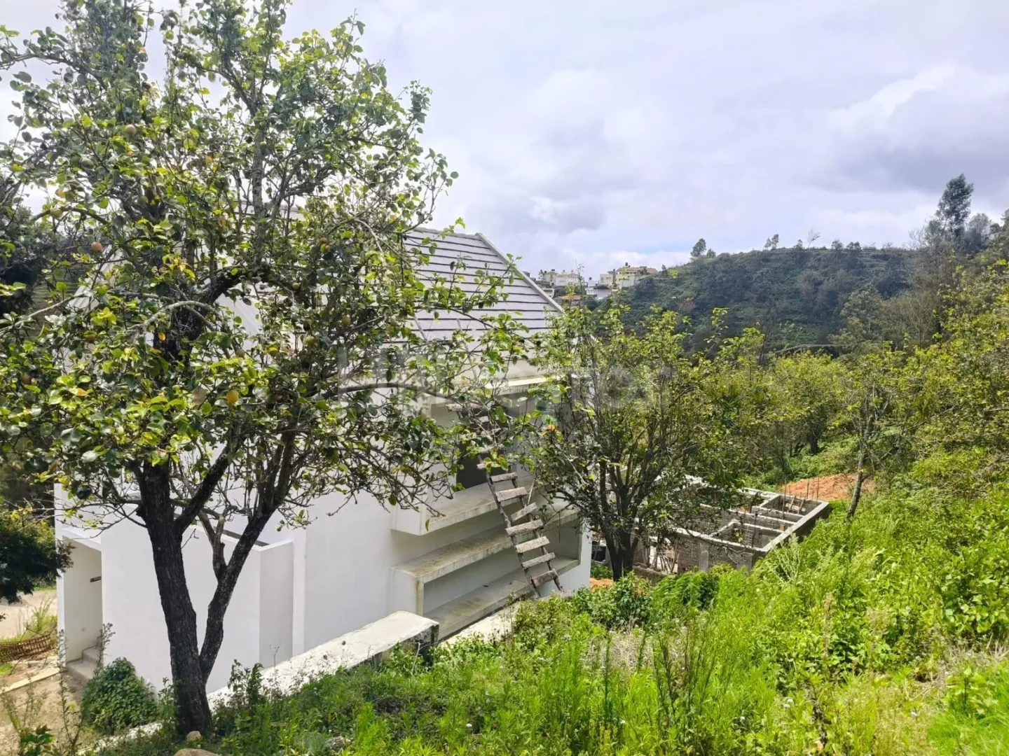 267 sq. yd. Residential Plot near Kurinji Andavar Temple, Vilpatti, Kodaikanal