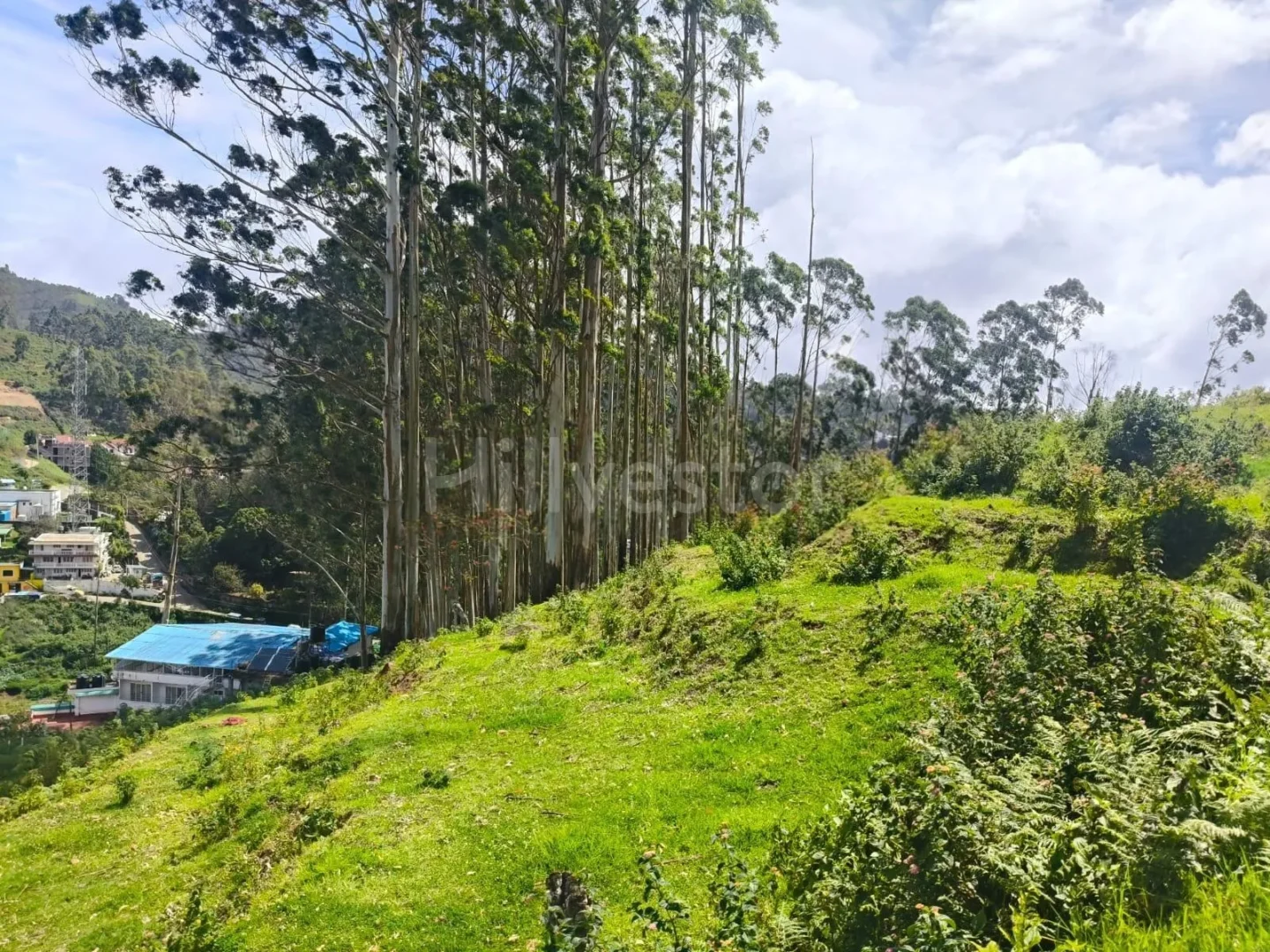 267 sq. yd. Residential Plot near Kurinji Andavar Temple, Vilpatti, Kodaikanal