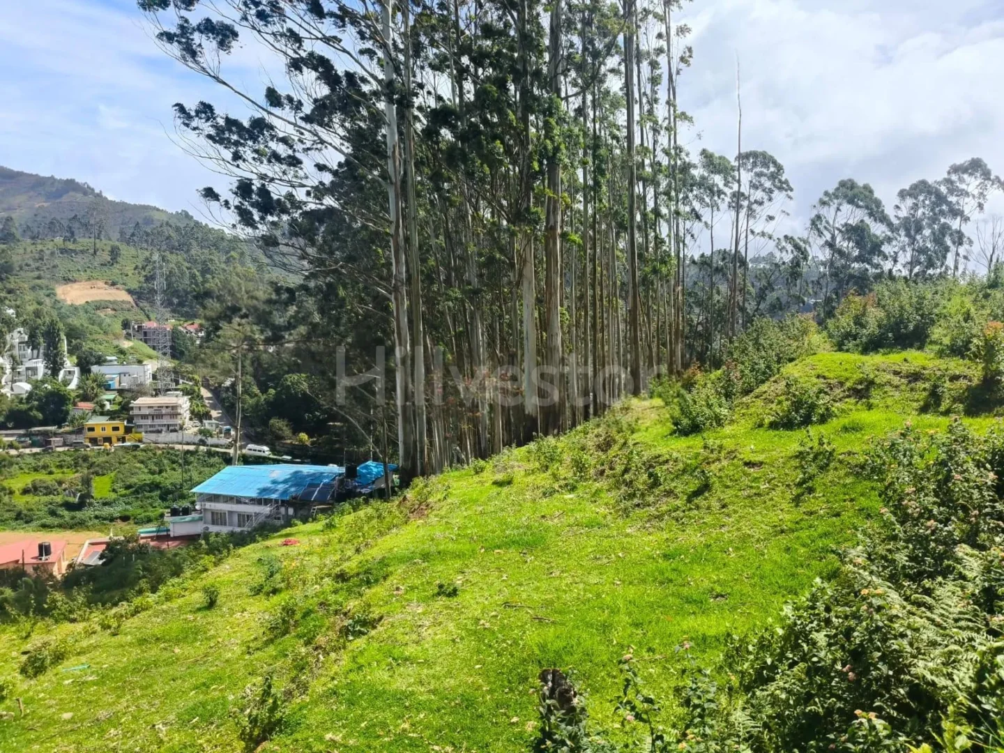 267 sq. yd. Residential Plot near Kurinji Andavar Temple, Vilpatti, Kodaikanal