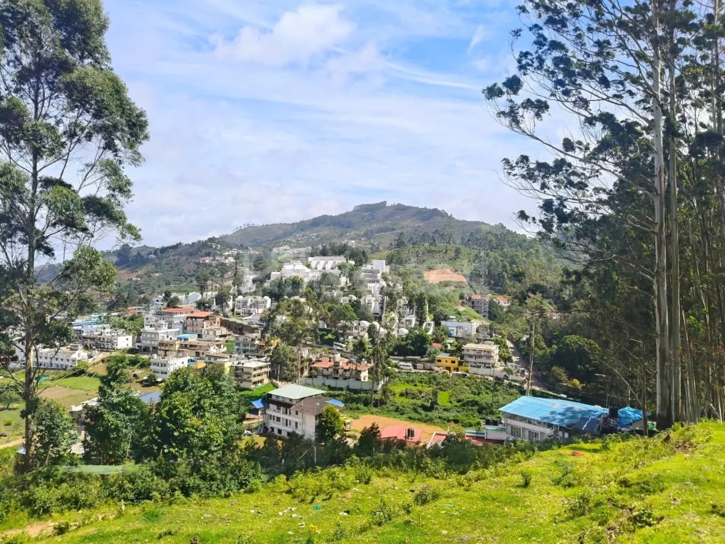 267 sq. yd. Residential Plot near Kurinji Andavar Temple, Vilpatti, Kodaikanal