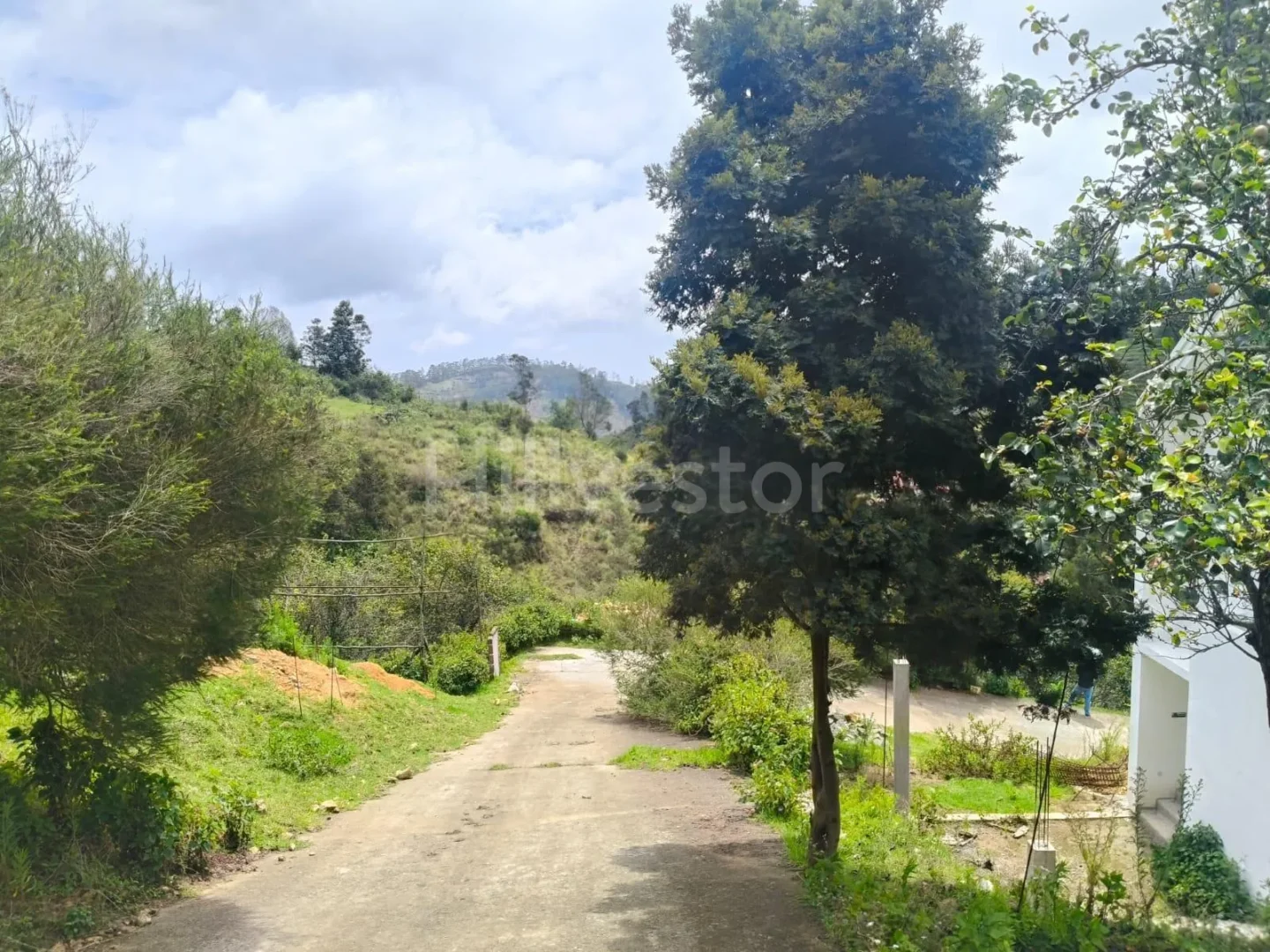 267 sq. yd. Residential Plot near Kurinji Andavar Temple, Vilpatti, Kodaikanal