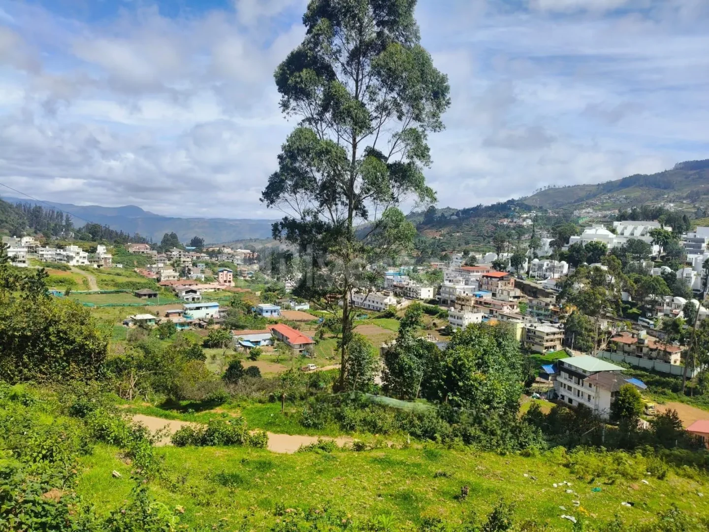 267 sq. yd. Residential Plot near Kurinji Andavar Temple, Vilpatti, Kodaikanal
