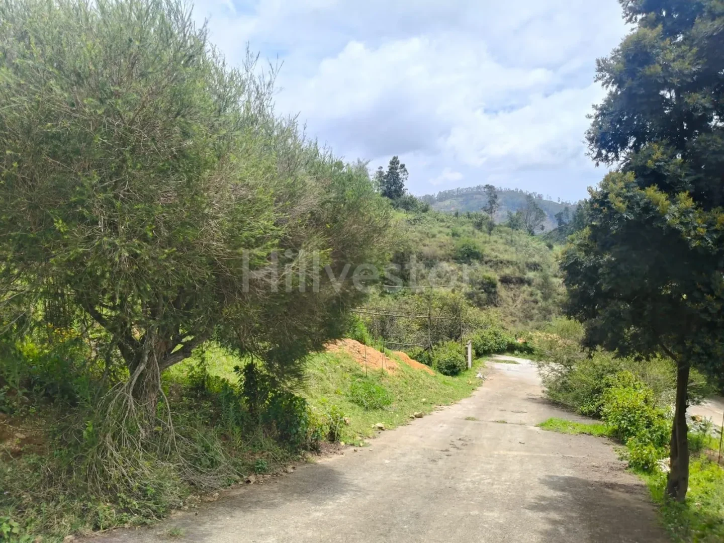 267 sq. yd. Residential Plot near Kurinji Andavar Temple, Vilpatti, Kodaikanal