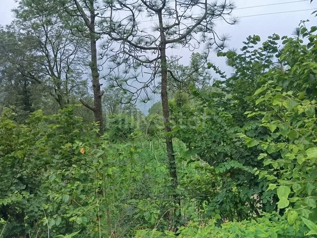 3,388 sq. yd. Residential Land near Jagjit Nagar Road, Kasauli
