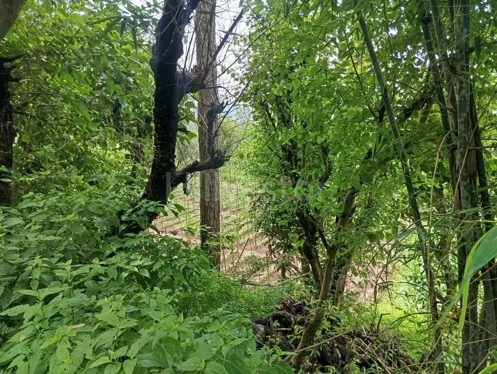 3,388 sq. yd. Residential Land near Jagjit Nagar Road, Kasauli