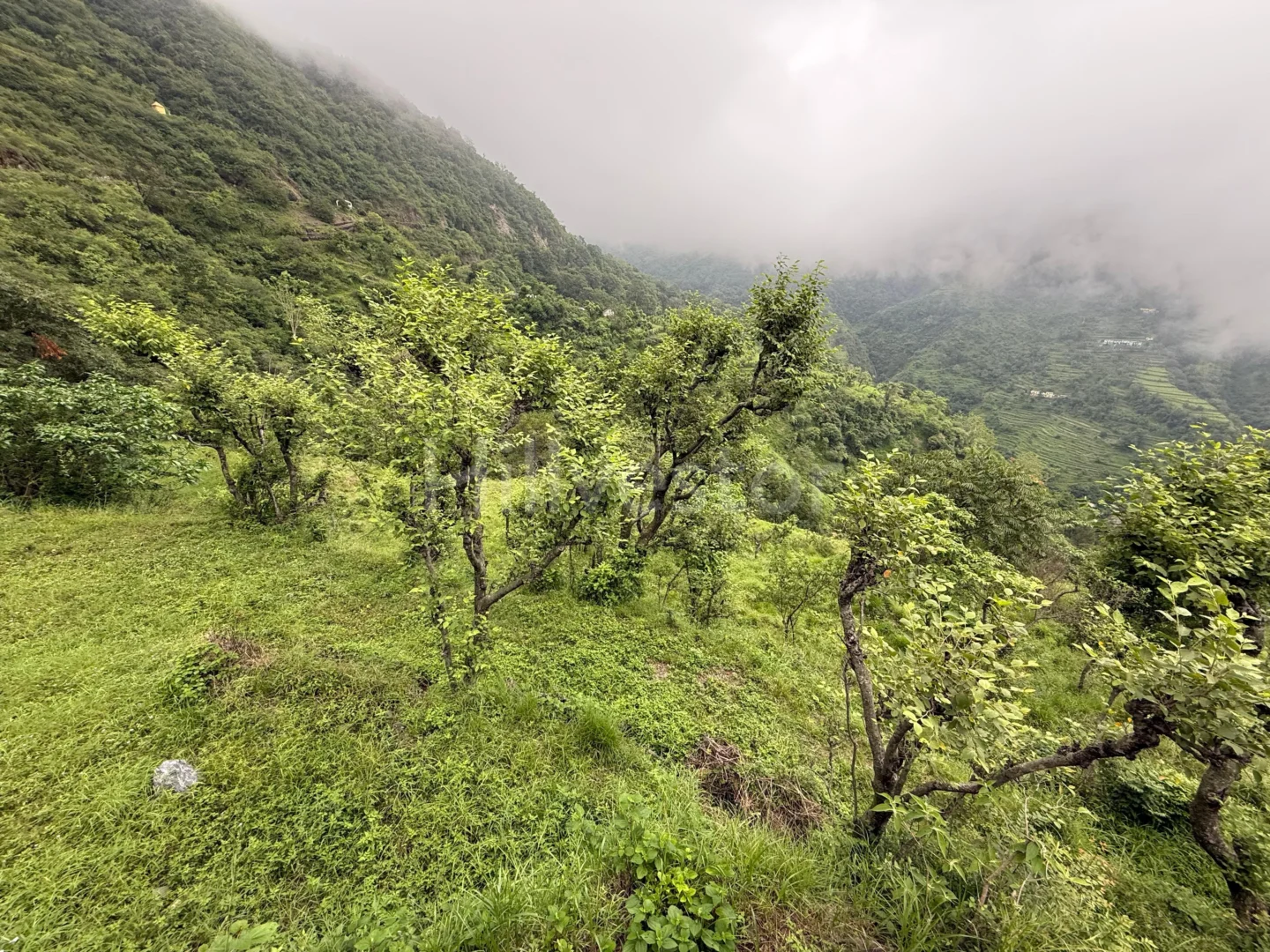 200 sq. yd. Residential Plot near Kakhil, Agrakhal, Narendra Nagar