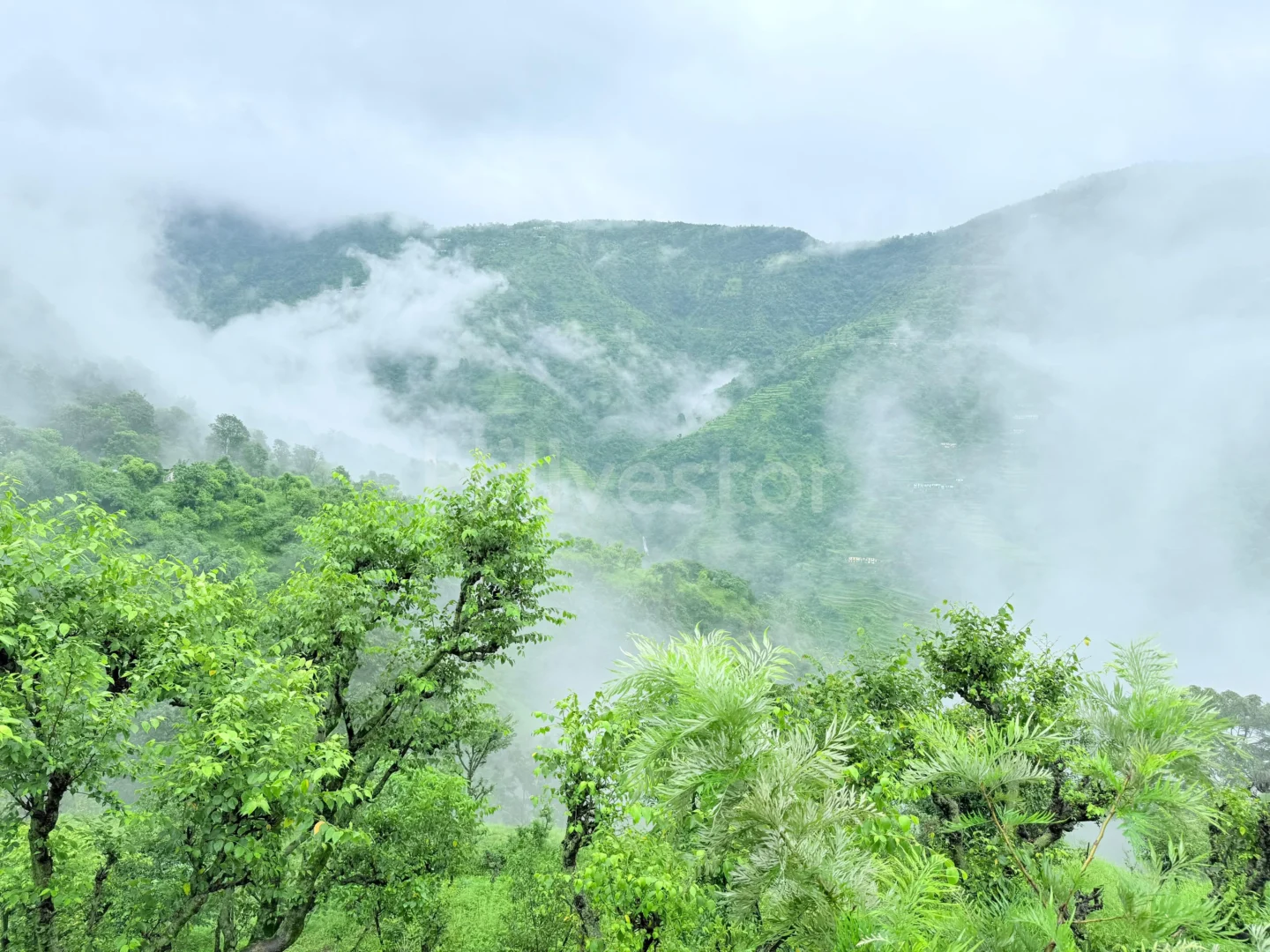 200 sq. yd. Residential Plot near Kakhil, Agrakhal, Narendra Nagar