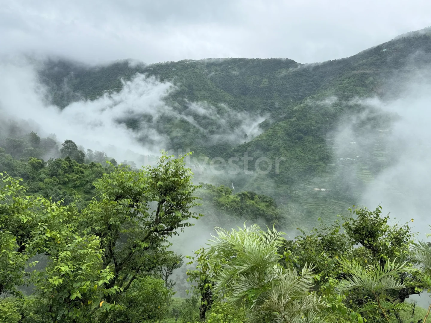 200 sq. yd. Residential Plot near Kakhil, Agrakhal, Narendra Nagar