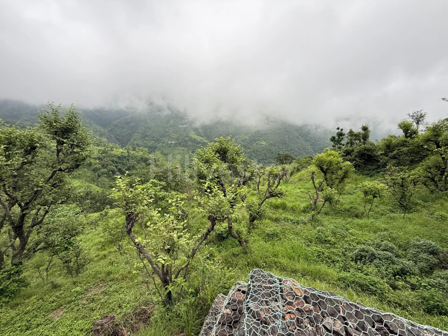200 sq. yd. Residential Plot near Kakhil, Agrakhal, Narendra Nagar