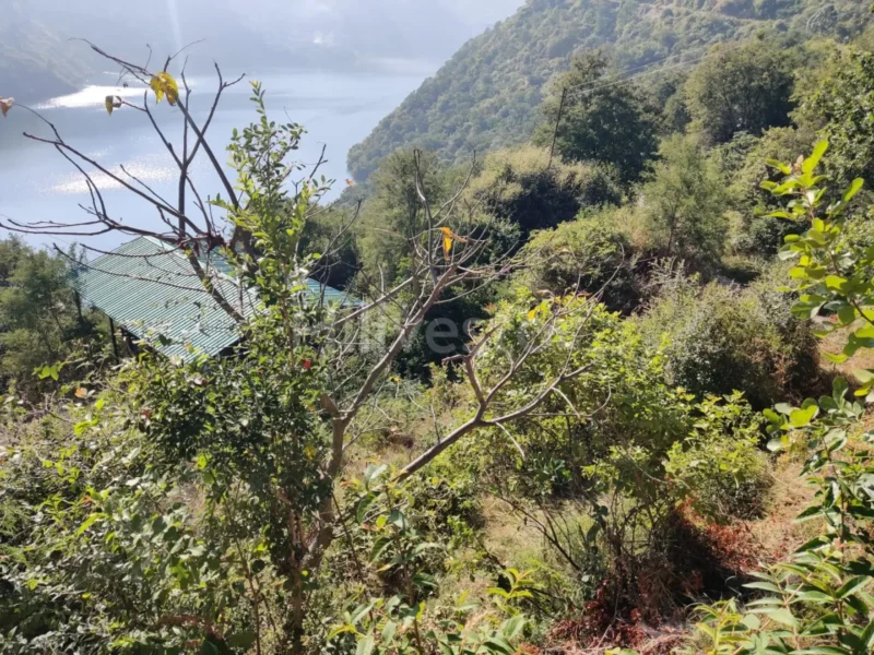 150 sq. yd. Residential Plot near Dobra Chanti Bridge, Pratapnagar, New Tehri