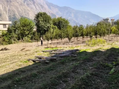 338 sq. yd. Residential Plot in Shamshi, Kullu